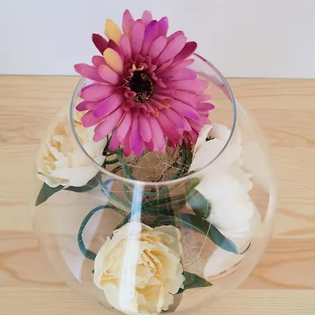 Lejlighed Toporowe *